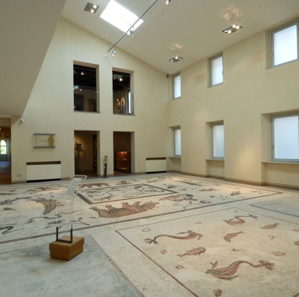 Pavimento romano. Mosaico, I sec. d.C. - Foto di Marcello Fedeli